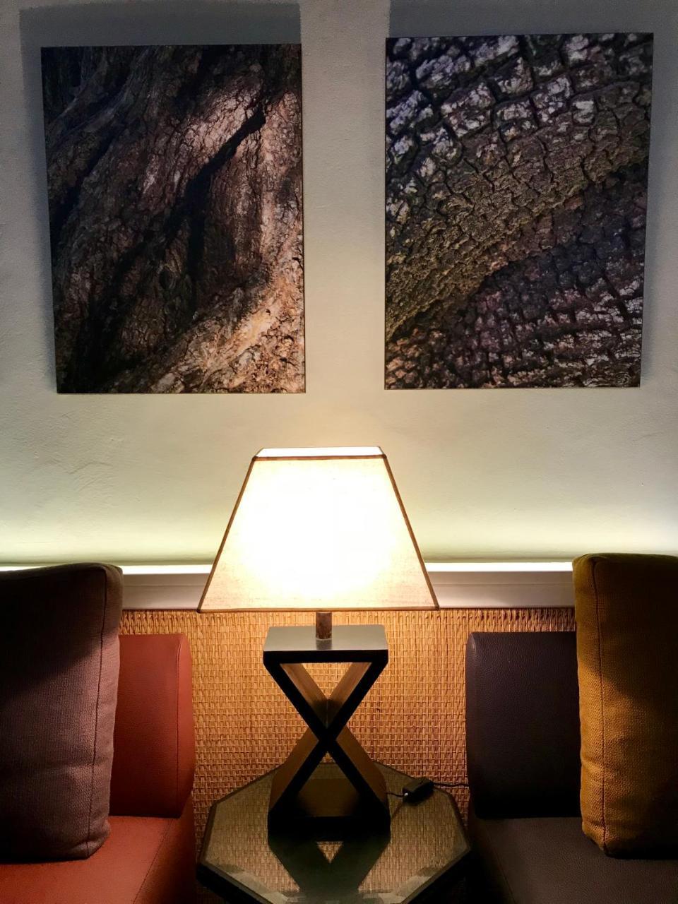 Riad Dar Shaan